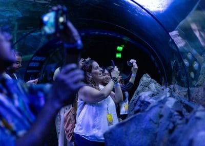 Bringing conservation into Conferences | 79th Annual World Association of Zoos and Aquariums 2024 Conference